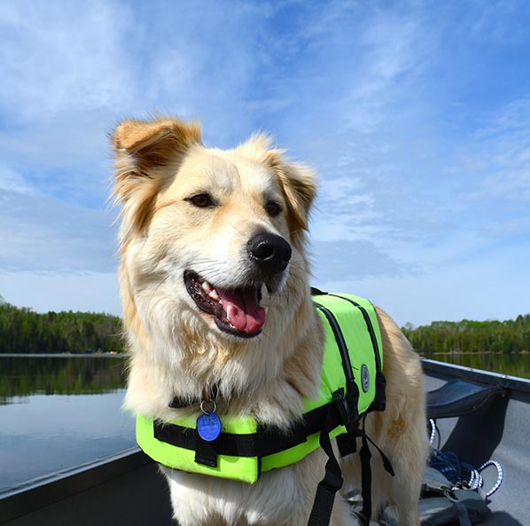 hundeurlaub-seenplatte-hund-kajak